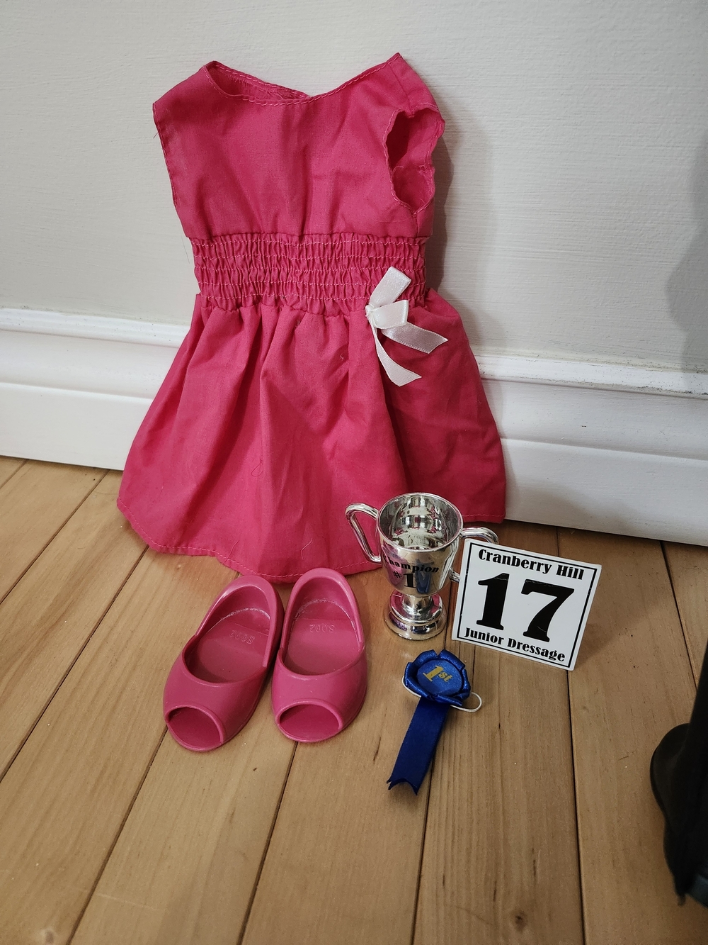 Our Generation 18" Equestrian Doll Lily Anna - Riding Outfit, Dress, Accessories - Picture 4 of 9